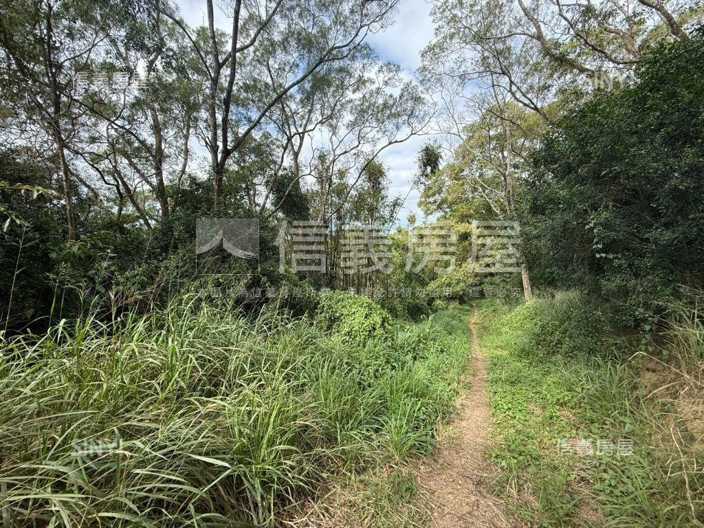 苗栗萬坪土地房屋室內格局與周邊環境