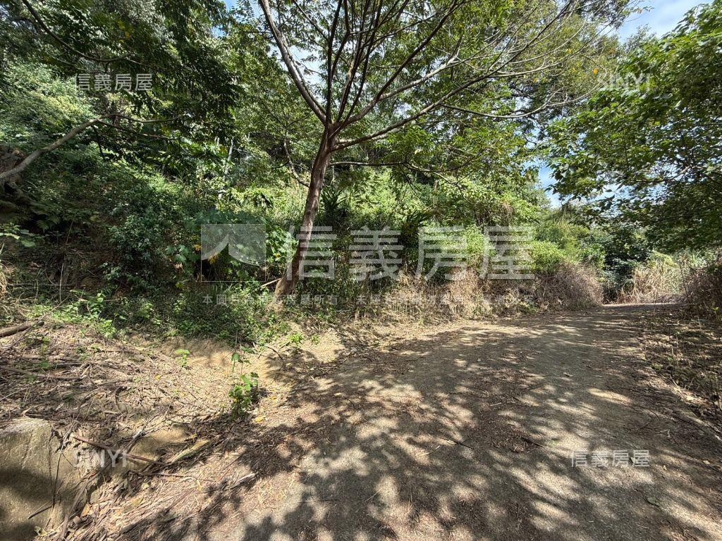 苗栗萬坪土地房屋室內格局與周邊環境