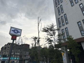 廣慈大空間一樓