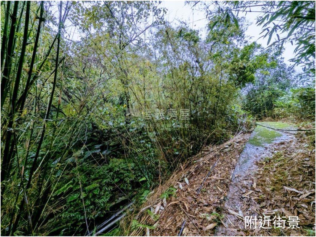 ★萬里農牧用土地★來財房屋室內格局與周邊環境