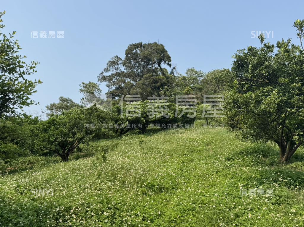 綠意環繞山景靜謐優質宅房屋室內格局與周邊環境