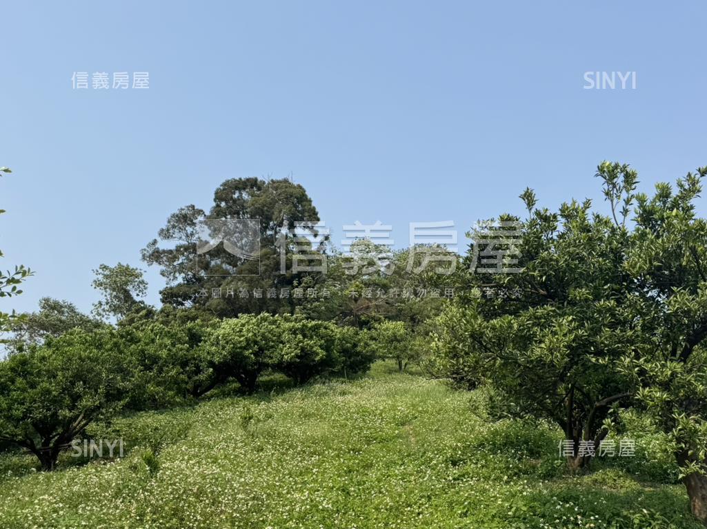 綠意環繞山景靜謐優質宅房屋室內格局與周邊環境