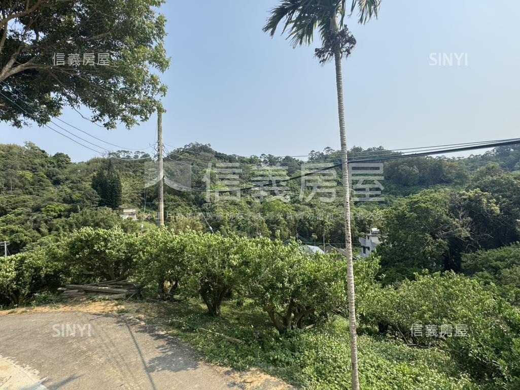 綠意環繞山景靜謐優質宅房屋室內格局與周邊環境