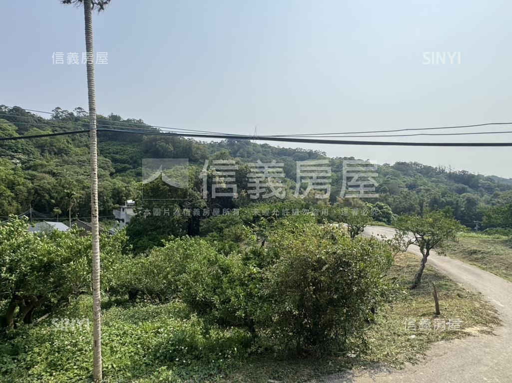 綠意環繞山景靜謐優質宅房屋室內格局與周邊環境