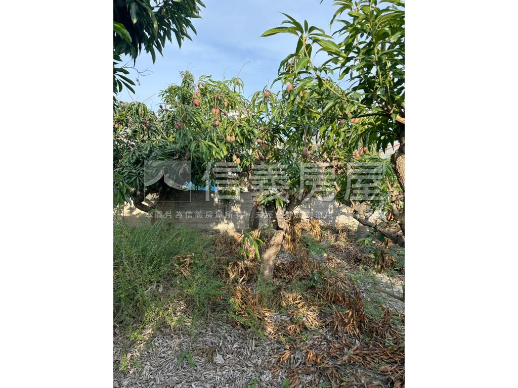 台南學甲區東興段土地房屋室內格局與周邊環境