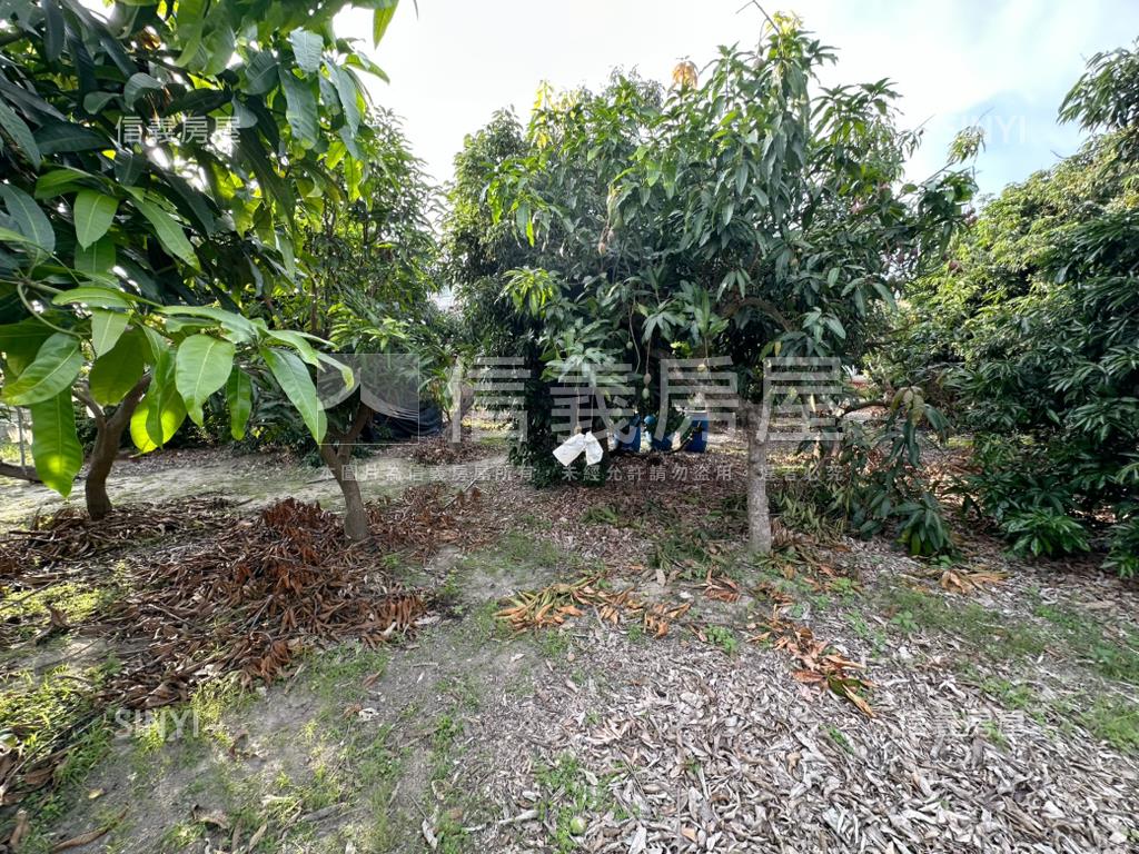 台南學甲區東興段土地房屋室內格局與周邊環境