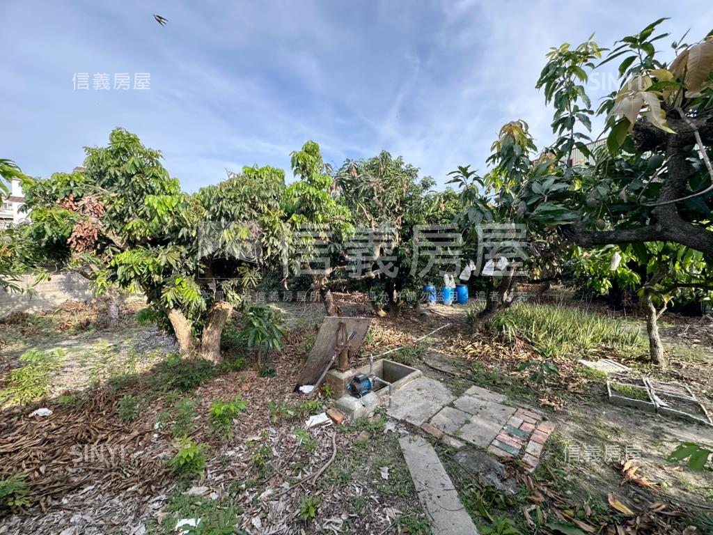 台南學甲區東興段土地房屋室內格局與周邊環境