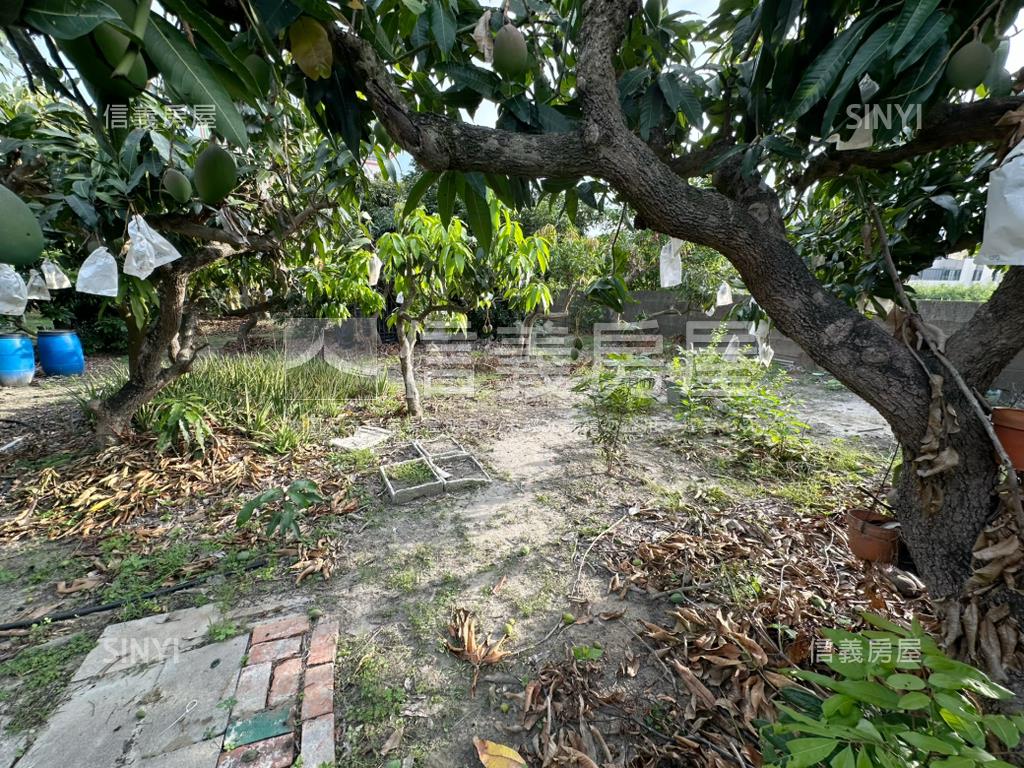 台南學甲區東興段土地房屋室內格局與周邊環境