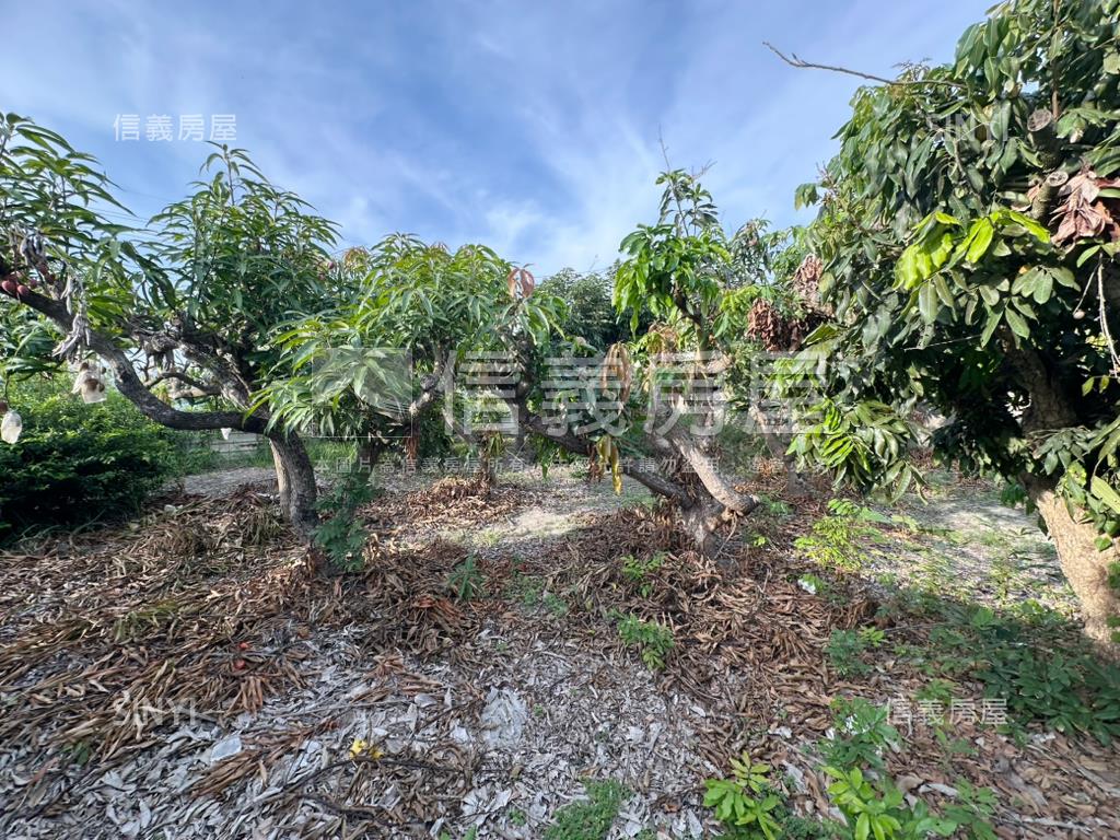 台南學甲區東興段土地房屋室內格局與周邊環境