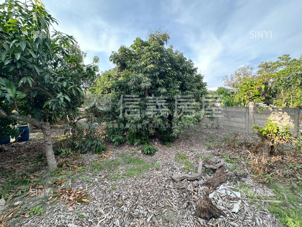 台南學甲區東興段土地房屋室內格局與周邊環境