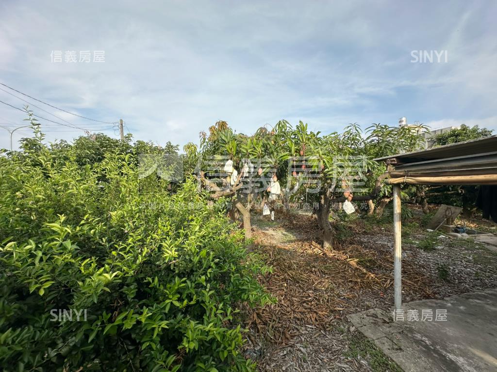 台南學甲區東興段土地房屋室內格局與周邊環境