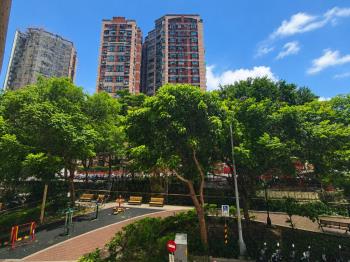 大全聯面公園邊間四房二樓
