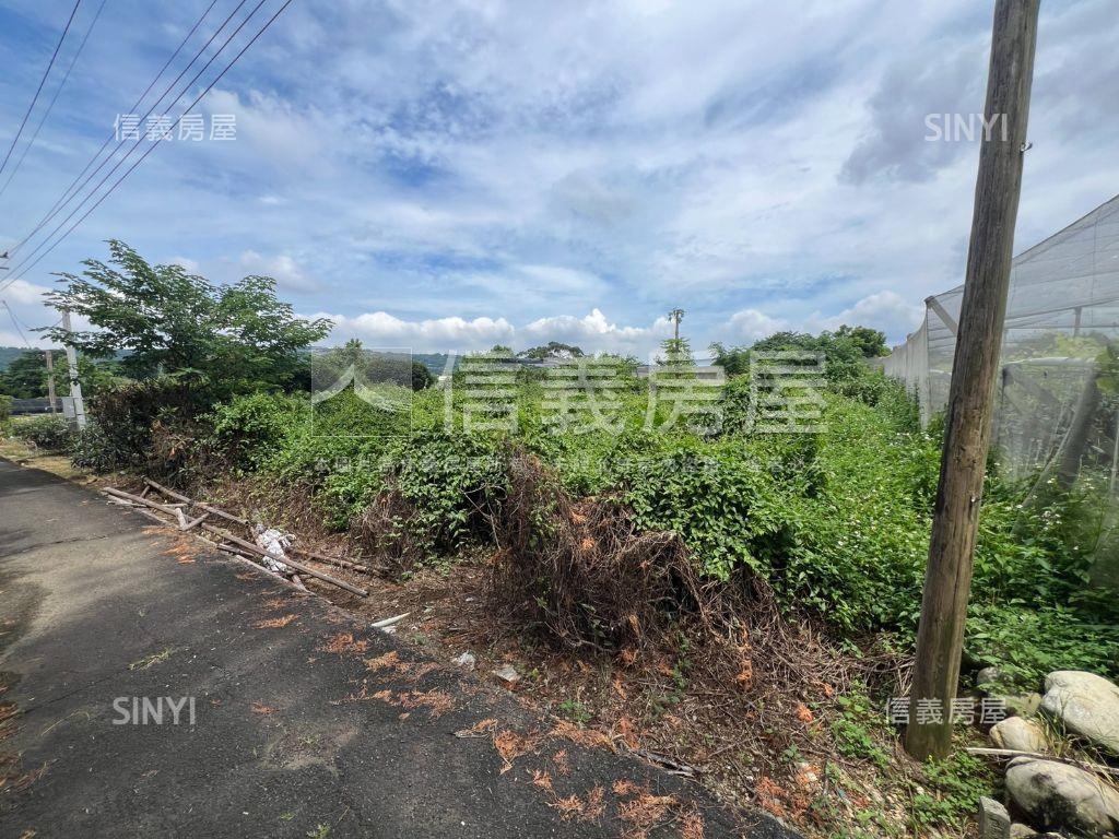 新社開心農地房屋室內格局與周邊環境