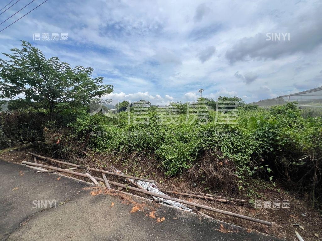 新社開心農地房屋室內格局與周邊環境