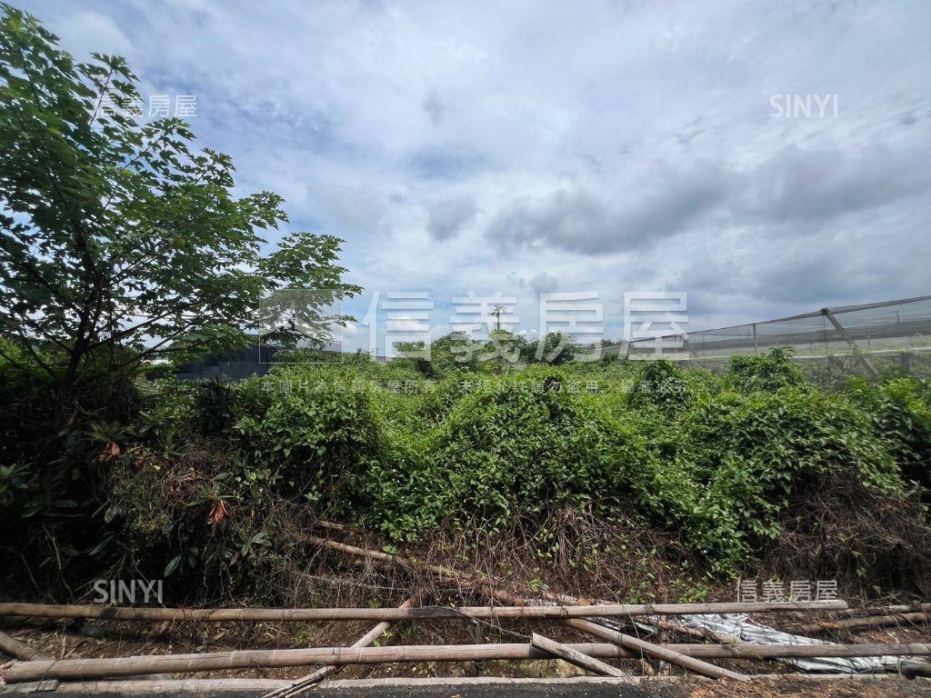 新社開心農地房屋室內格局與周邊環境
