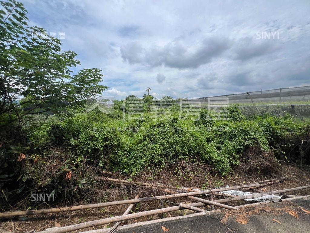 新社開心農地房屋室內格局與周邊環境
