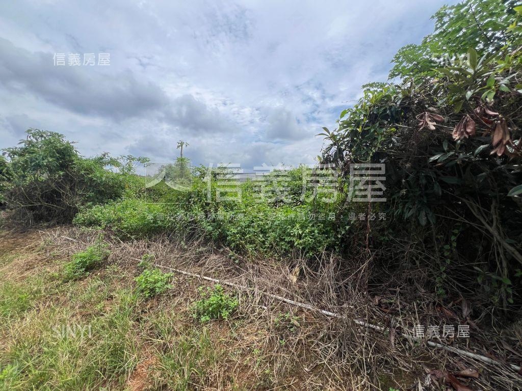 新社開心農地房屋室內格局與周邊環境