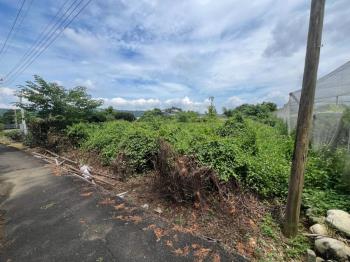 低總價新社開心農地