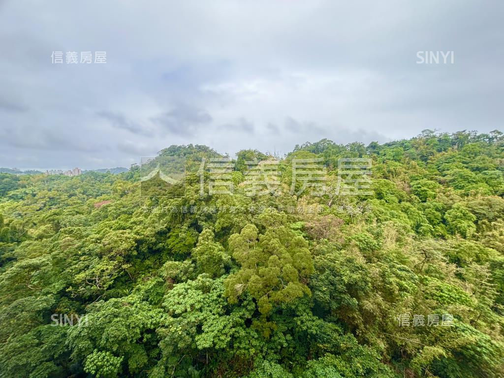 三面採光翡翠城堡景觀戶房屋室內格局與周邊環境