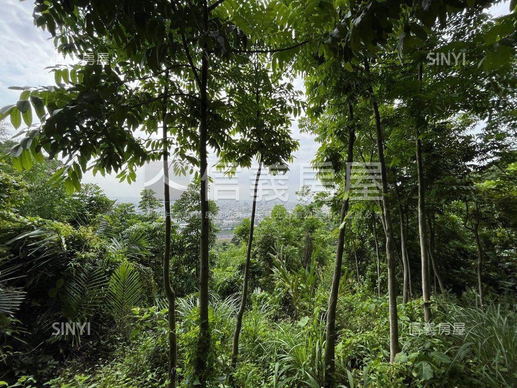 大地坪桃心木林地房屋室內格局與周邊環境