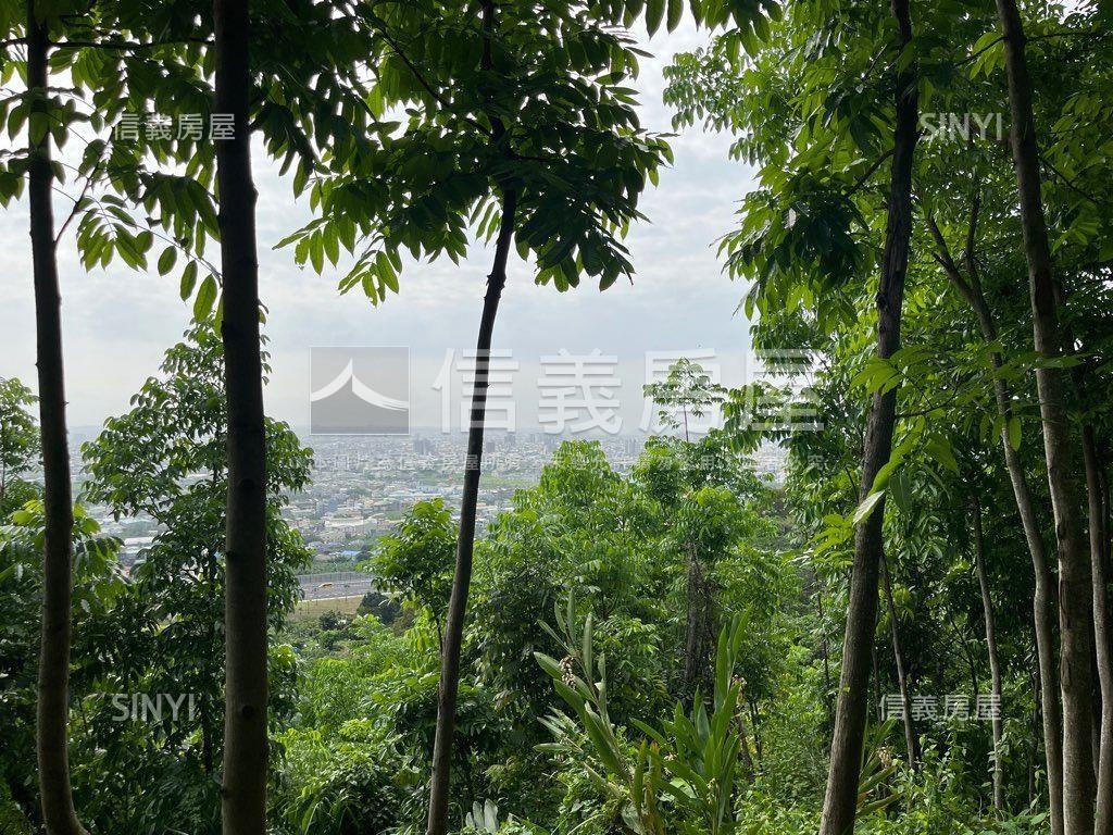 大地坪桃心木林地房屋室內格局與周邊環境