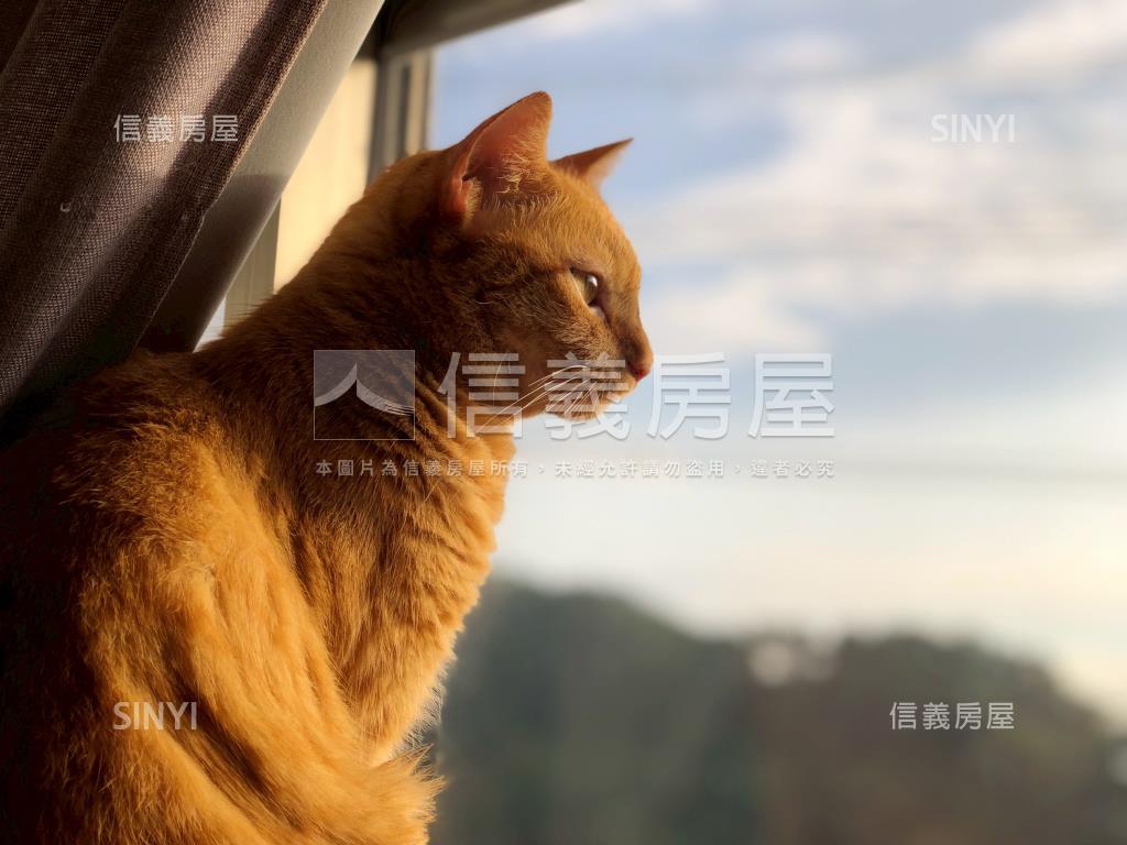 世代名門首購成家好宅房屋室內格局與周邊環境