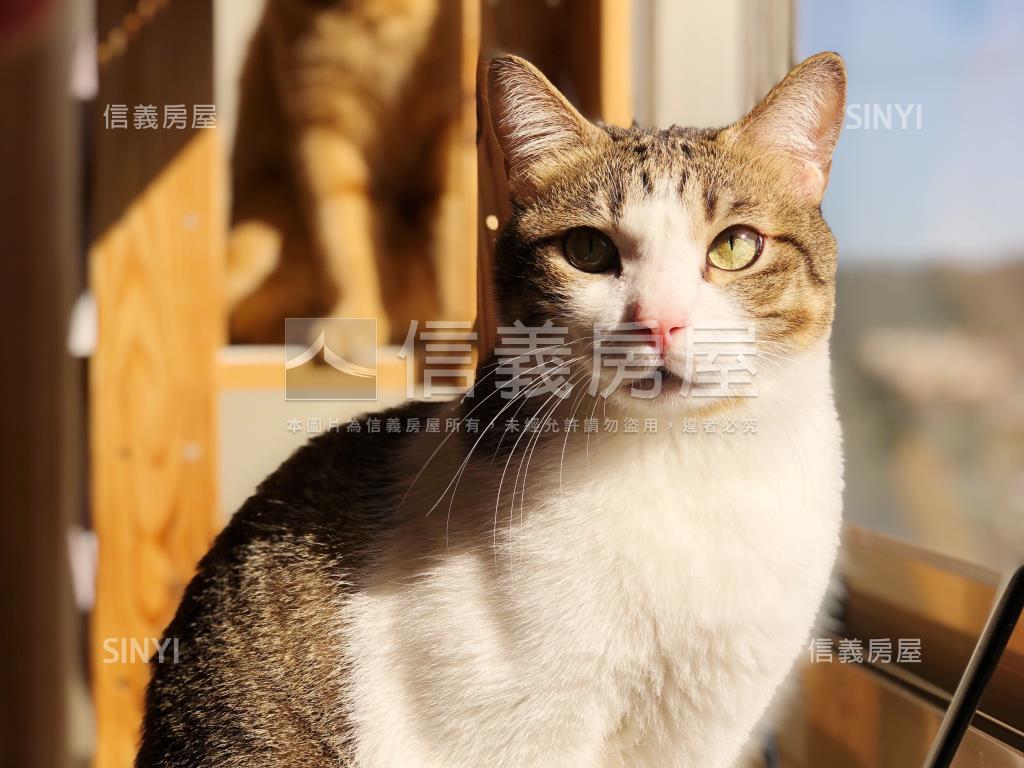 世代名門首購成家好宅房屋室內格局與周邊環境