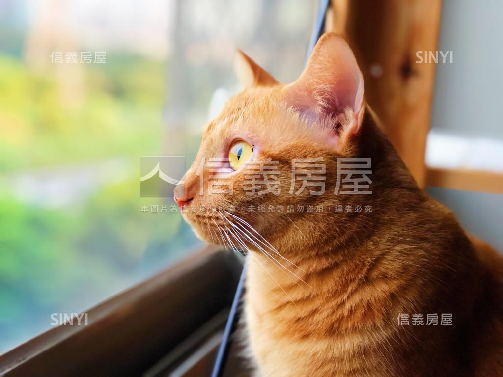 世代名門首購成家好宅房屋室內格局與周邊環境