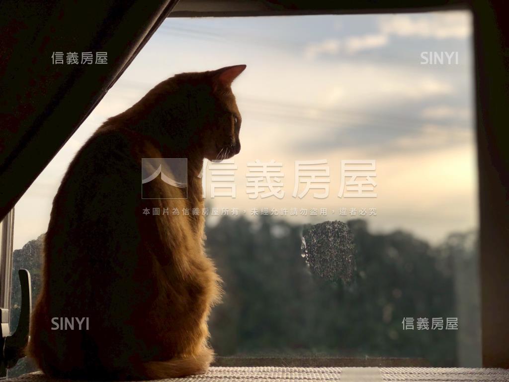世代名門首購成家好宅房屋室內格局與周邊環境