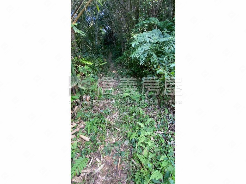 大溪信義段生態農地之一房屋室內格局與周邊環境