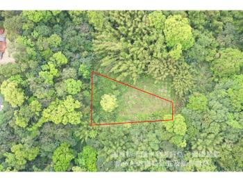 大溪信義段生態農地之一