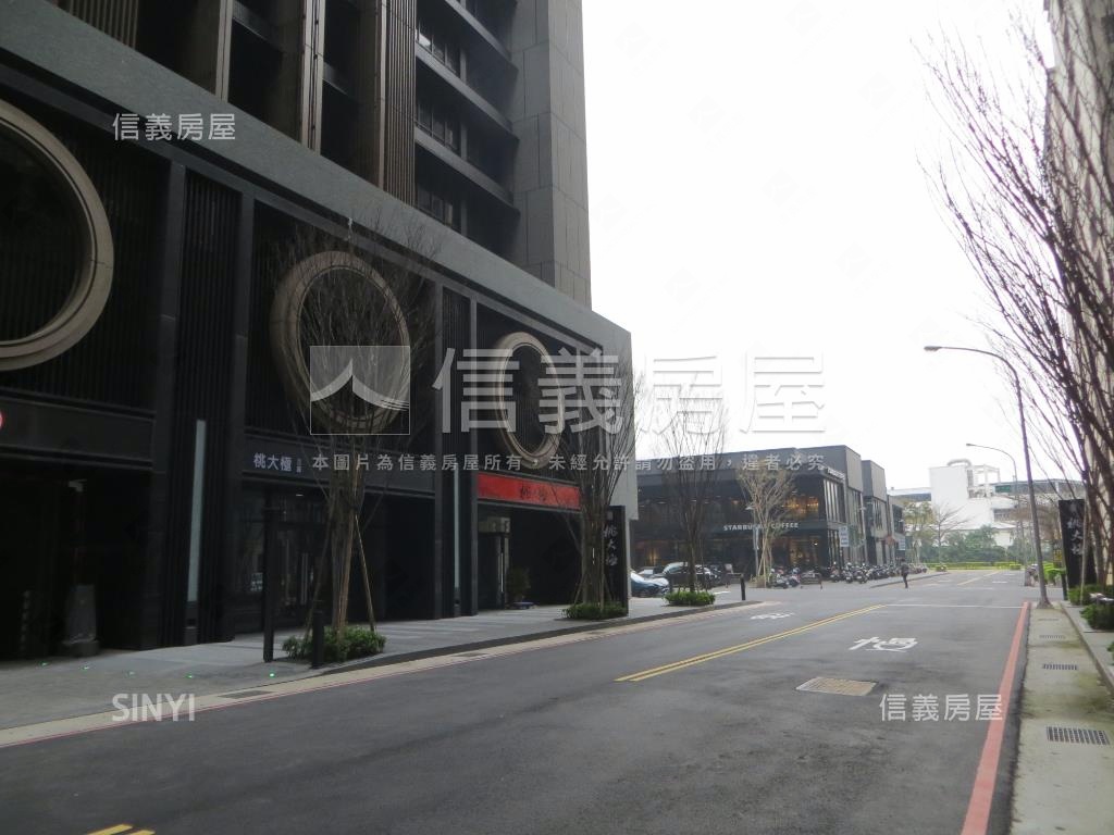 桃大極匠心美宅房屋室內格局與周邊環境