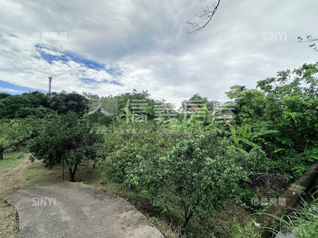 台三線千坪絕美土地房屋室內格局與周邊環境