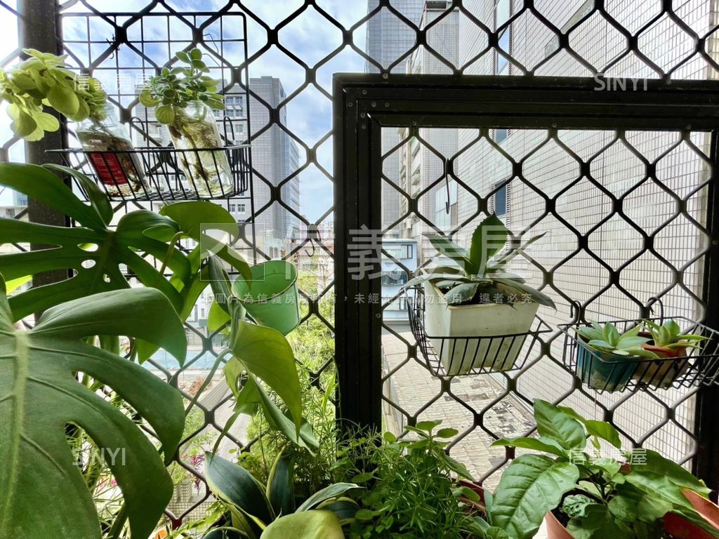 極美★敦南樹海★珍藏美邸房屋室內格局與周邊環境
