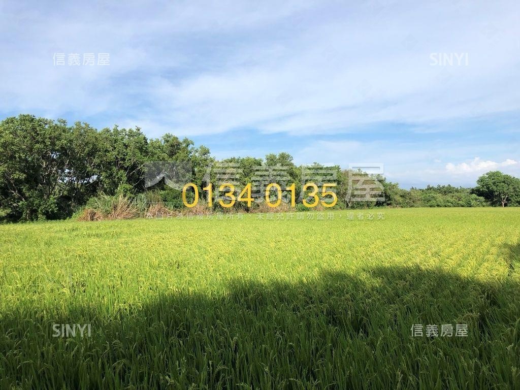 新竹東濱段１３５地號房屋室內格局與周邊環境