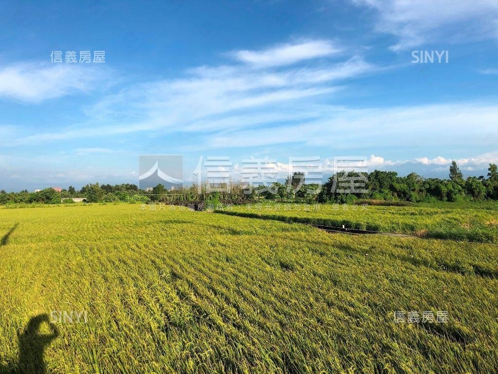 新竹東濱段１３５地號房屋室內格局與周邊環境