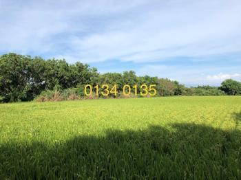 新竹東濱段１３５地號