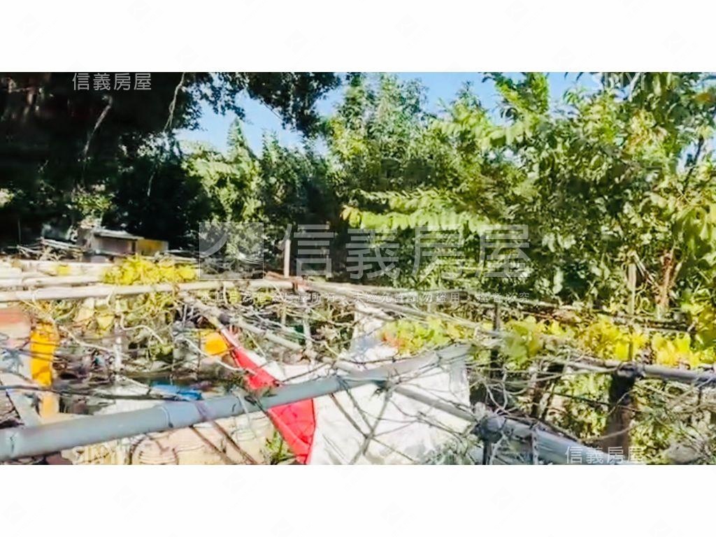 專任中和近莒光站都計農地房屋室內格局與周邊環境