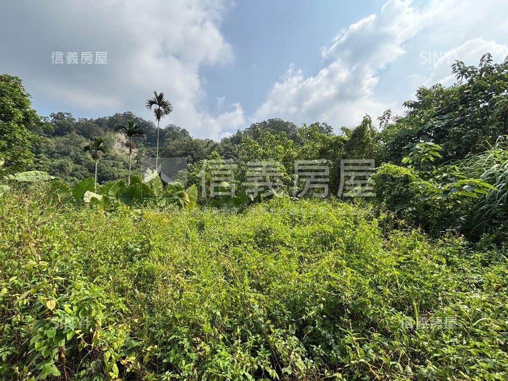 北屯大湖巷美麗農地房屋室內格局與周邊環境