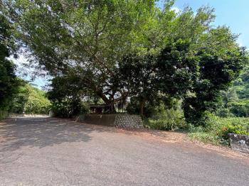 北屯大湖巷美麗農地