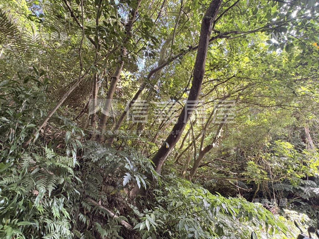 清甜成家魔術空間面保護區房屋室內格局與周邊環境