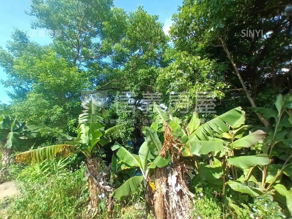 楊梅開心農場房屋室內格局與周邊環境