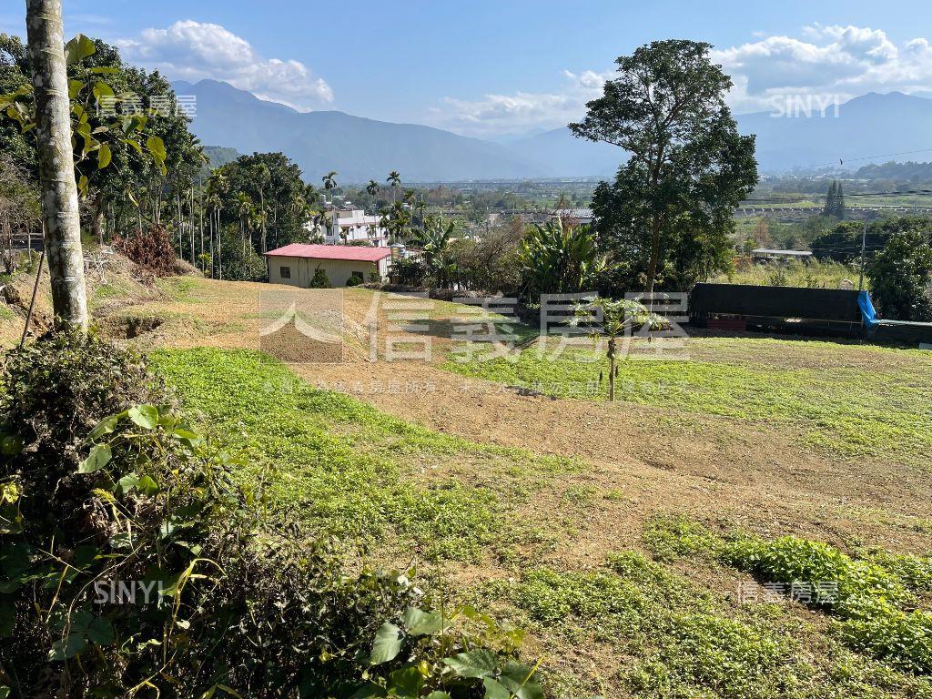 南投埔里向善段土地房屋室內格局與周邊環境