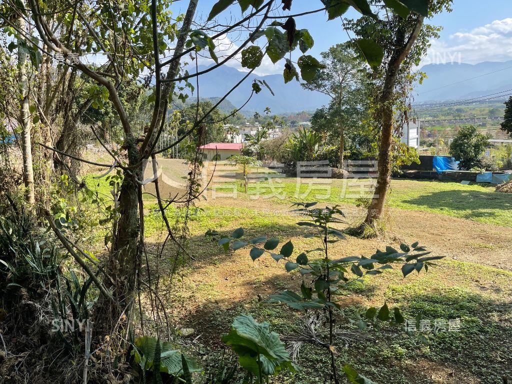 南投埔里向善段土地房屋室內格局與周邊環境