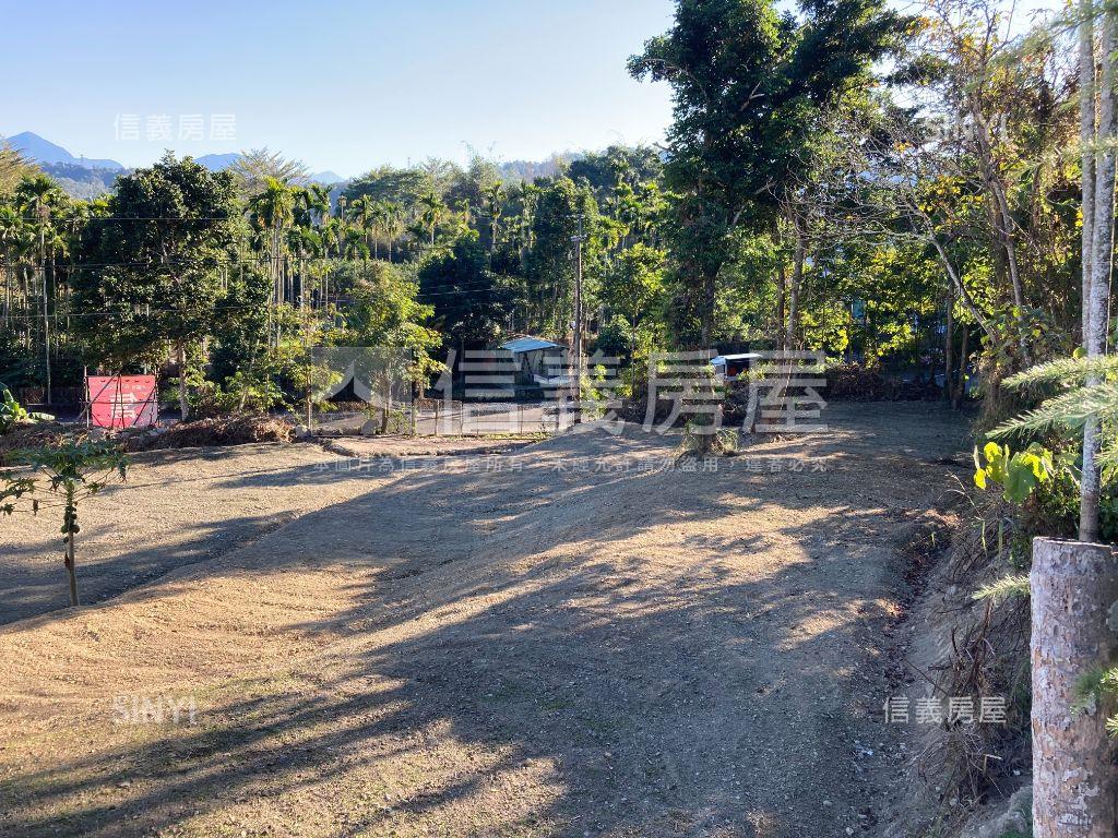 南投埔里向善段土地房屋室內格局與周邊環境