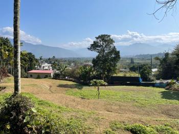 南投埔里向善段土地