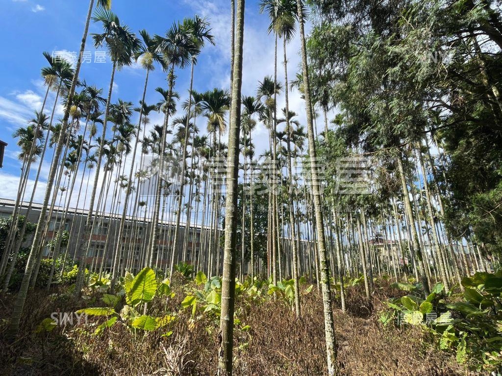 南投魚池千坪土地房屋室內格局與周邊環境
