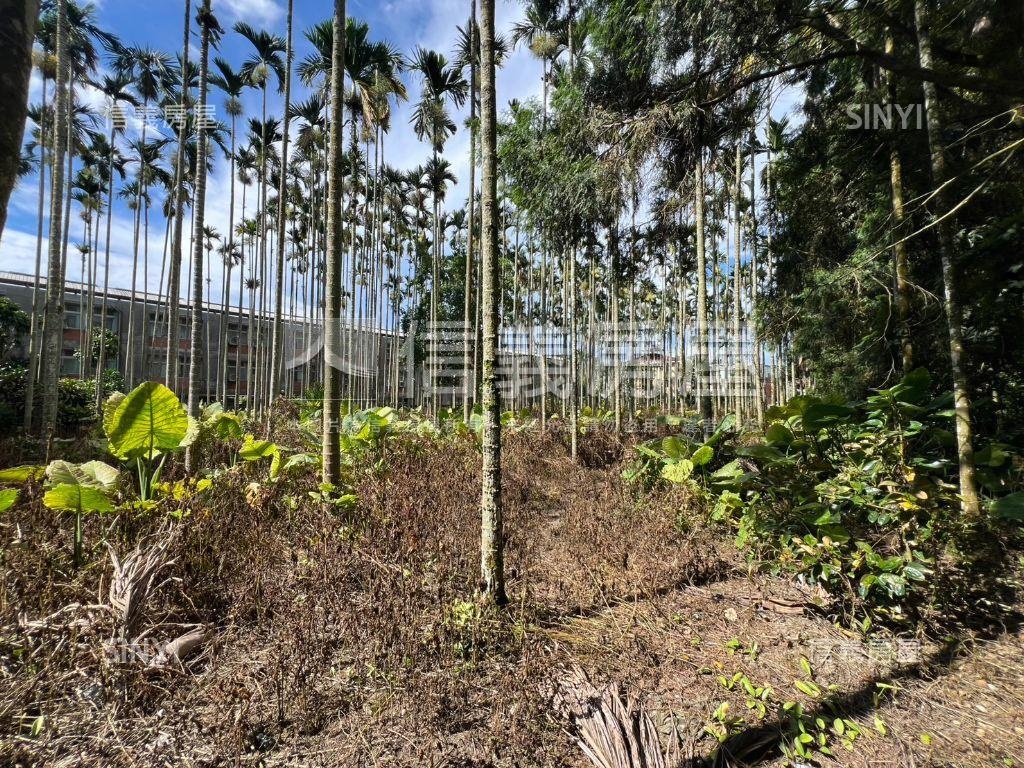 南投魚池千坪土地房屋室內格局與周邊環境