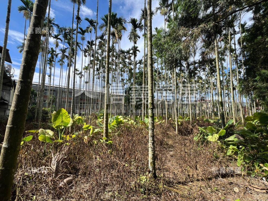 南投魚池千坪土地房屋室內格局與周邊環境