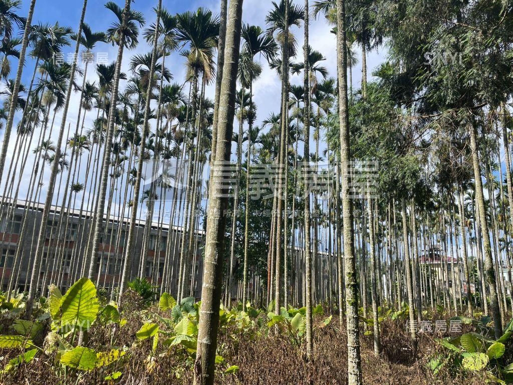 南投魚池千坪土地房屋室內格局與周邊環境